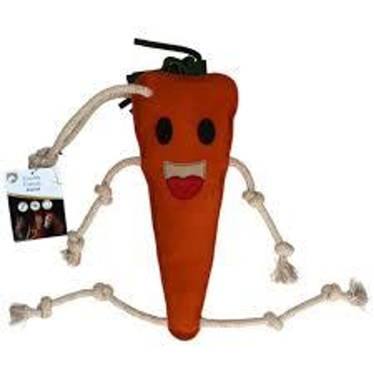 Foodie Friend Carrot