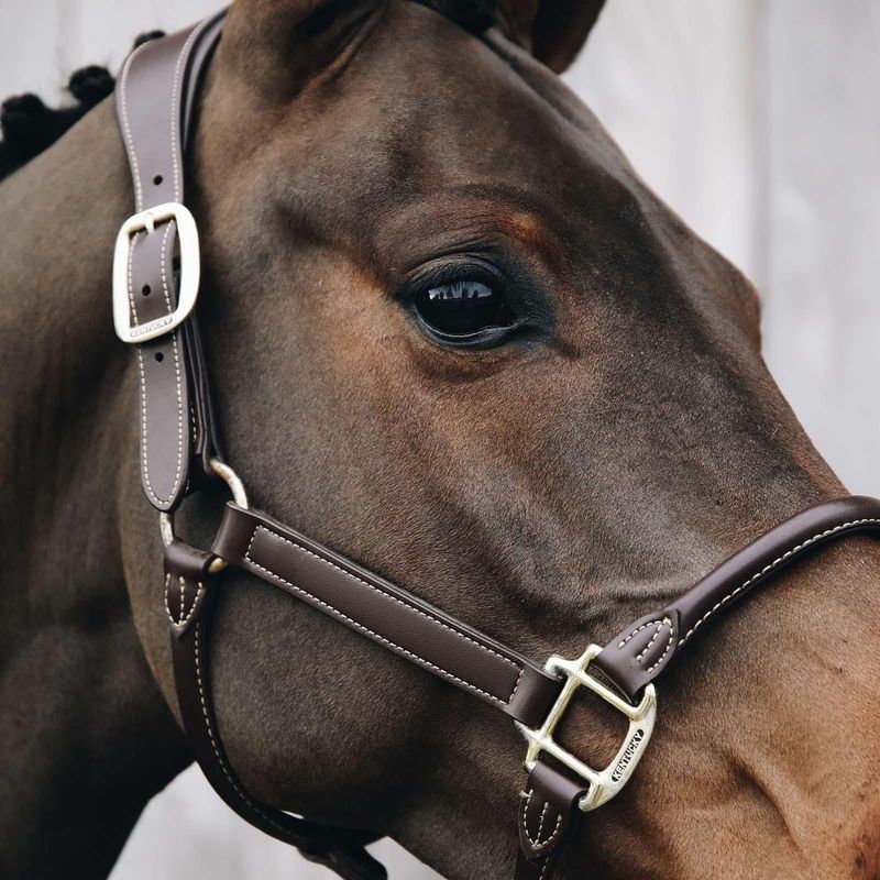 Kentucky Anatomic Leather Halter