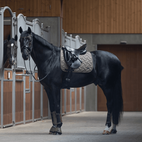 Hovedbilde Kingsland Lexie Dressage Saddle Pad