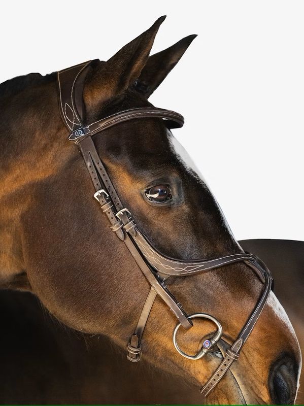 PS of Sweden Bridle Athens