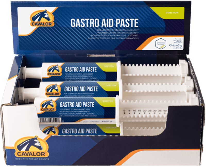 Cavalor Gastro Aid Paste