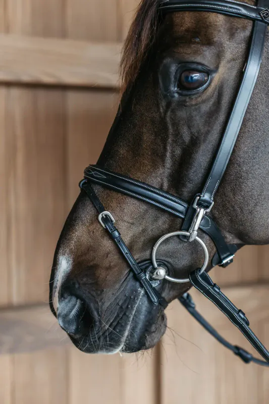 Dy`on Training Bridle - Working By Dy`on
