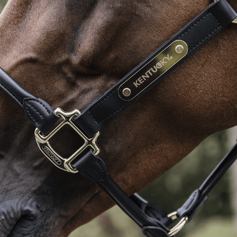 Kentucky Anatomic Leather Halter