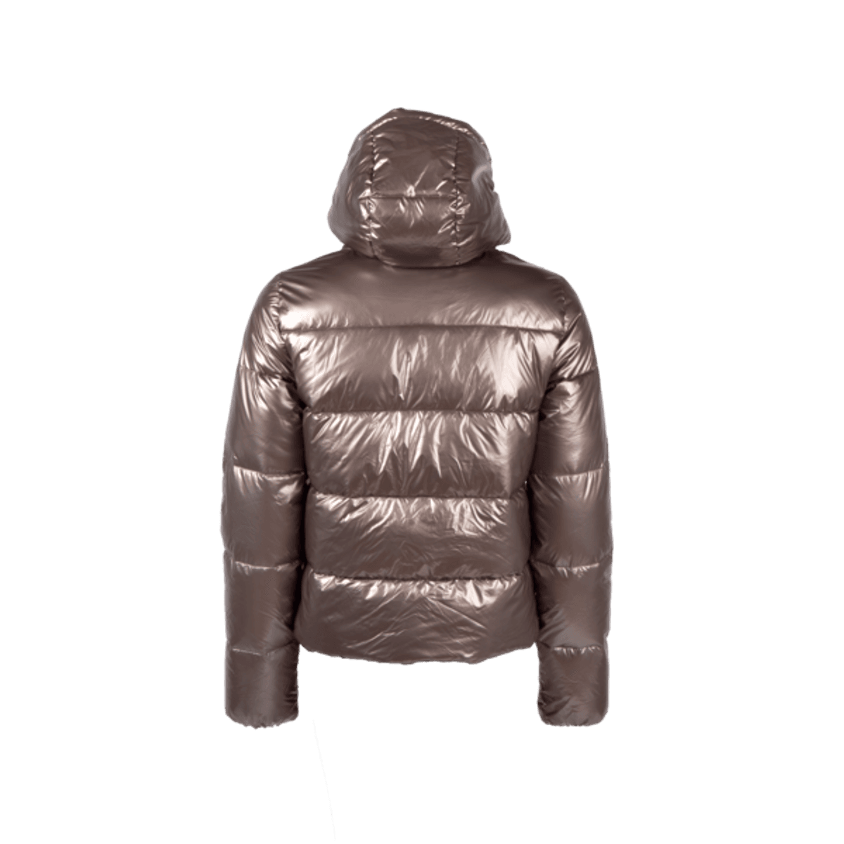 Kingsland Madison Lady Metallic Riding Jacket