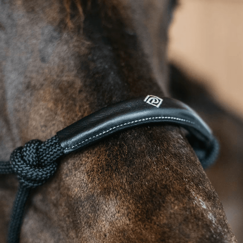 Dyon Training Halter Working By Dyon 